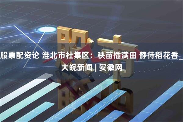 股票配资论 淮北市杜集区：秧苗插满田 静待稻花香_大皖新闻 | 安徽网