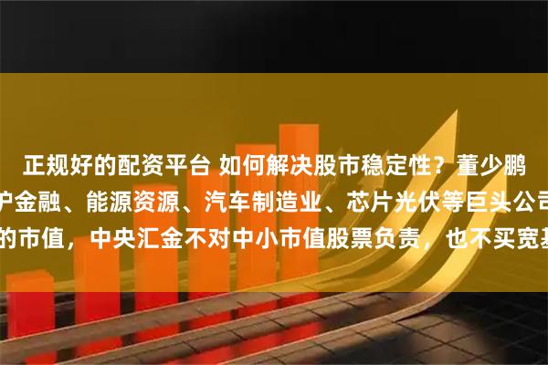 正规好的配资平台 如何解决股市稳定性？董少鹏提议：必须坚定不移守护金融、能源资源、汽车制造业、芯片光伏等巨头公司的市值，中央汇金不对中小市值股票负责，也不买宽基ETF，只盯住巨头上市公司